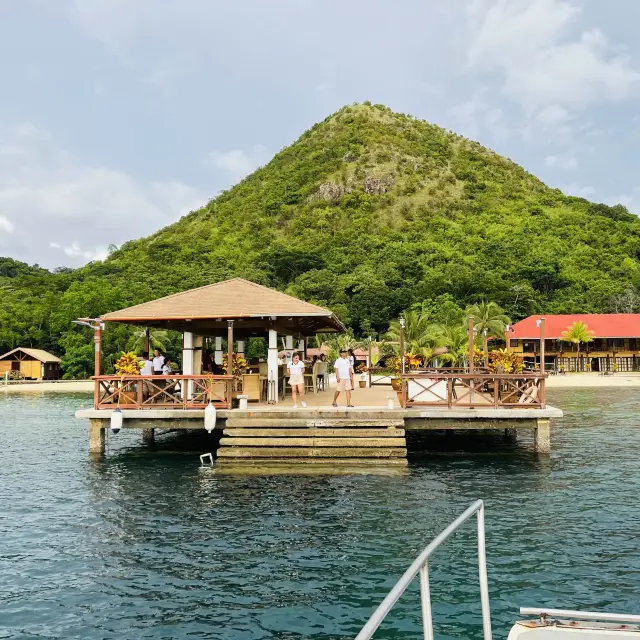 เกาะแห่งชีวิต