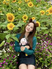 서울근교 최고의 놀이공원, 에버랜드 🎡
