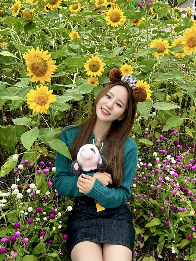 서울근교 최고의 놀이공원, 에버랜드 🎡