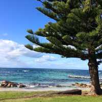 Flinders Bay - Beautiful beach 