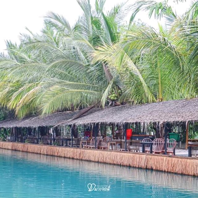 The Wild swans Café and Lake - คาเฟ่สวยนครปฐม
