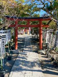 【神奈川県/旗上弁財天社】美しい源氏池に浮かぶ神社