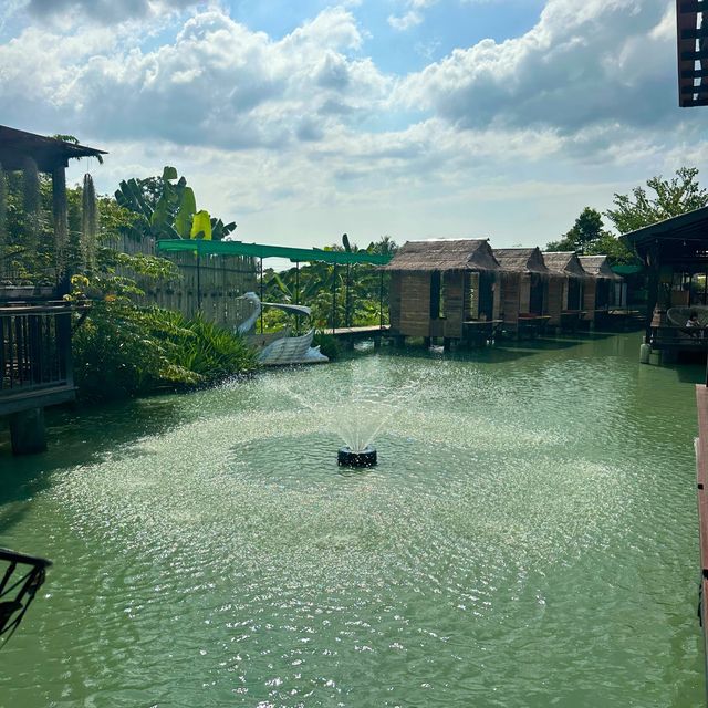 บึงบัว คาเฟ่ บรรยากาศ​ชิวๆ ริมบึงบัว 