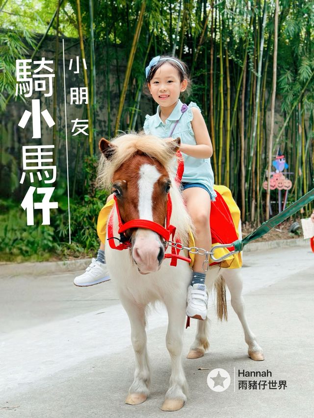深圳動物園攻略