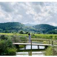 เจอ กู๊เนียร์ ฟอร์เร็ซท สวนดอกไม้ ที่ใหญ่ที่สุดในเชียงใหม่
