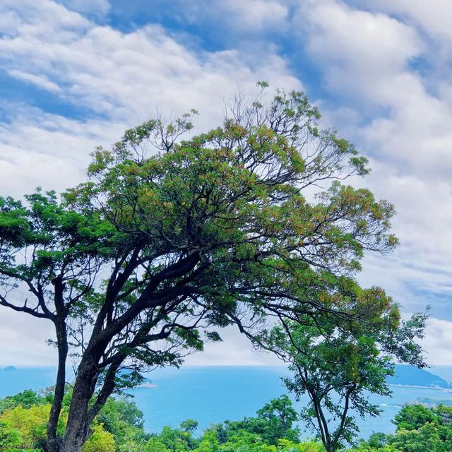 自然的寶藏中！探索八仙嶺郊野公園的美麗景色 🌳🏞️🌼 
