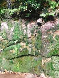 都内にある隠された秘境🫧緑豊かな渓谷🌿🕊‎【等々力】