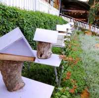 Beautiful Lavender Farm in Cameron Highlands 