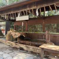 下鴨神社⛩️祈求戀愛順利🫶🏻京都隱世景點