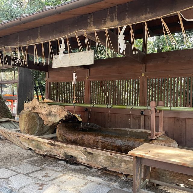 下鴨神社⛩️祈求戀愛順利🫶🏻京都隱世景點