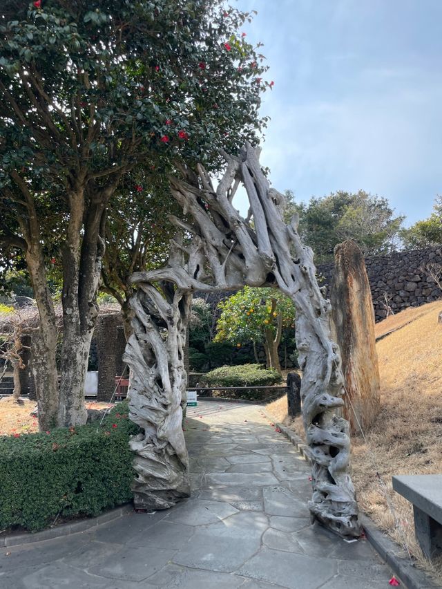 세계에서 가장 아름다운 정원🌳 제주 분재정원