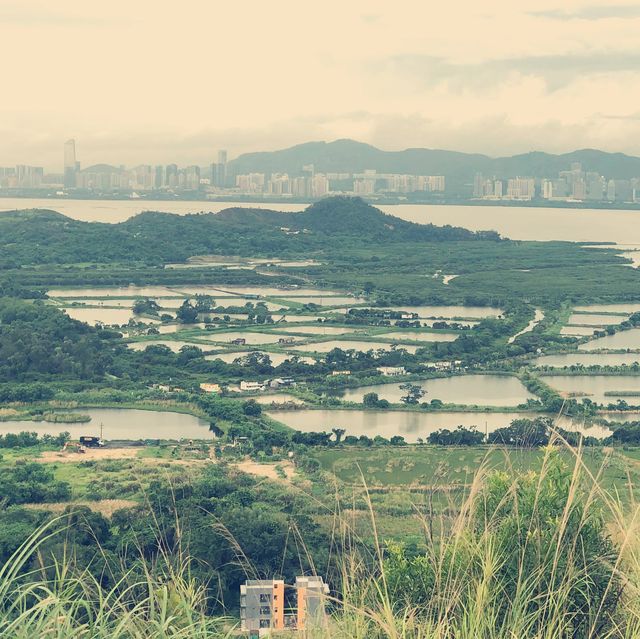 Cultural hiking at Mount Akki in Yuen Long