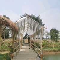 หลบร้อน​ มาผ่อนคลายที่ฟาร์มคาเฟ่​ บุรีรัมย์