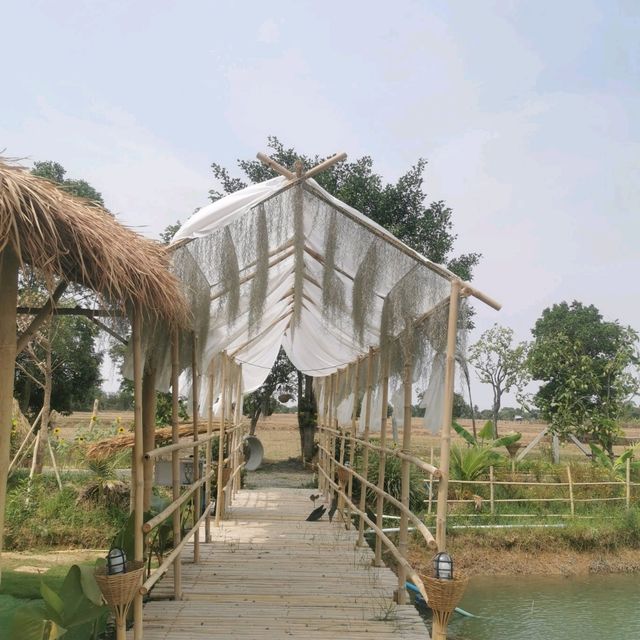 หลบร้อน​ มาผ่อนคลายที่ฟาร์มคาเฟ่​ บุรีรัมย์