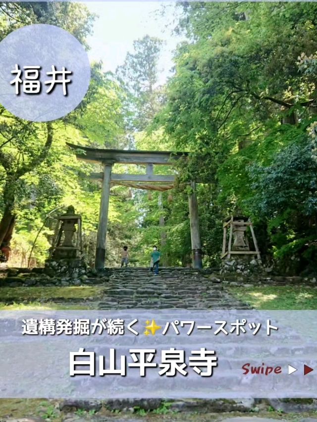 【福井】白山平泉寺／平泉寺白山神社