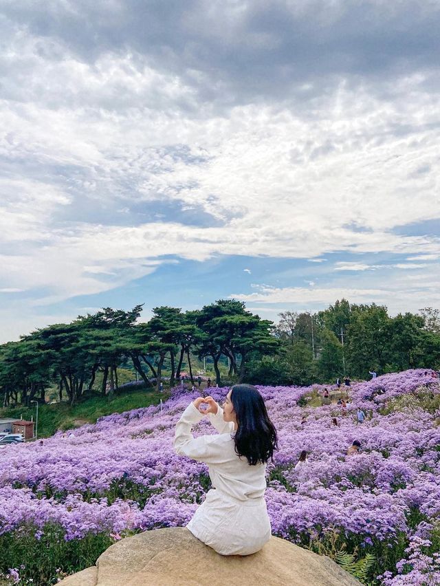 한국의 10월 여기는 꼭 가보세요!