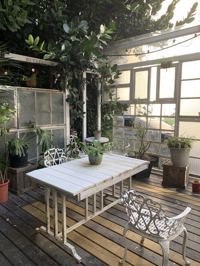 新竹森林系餐廳！市區有停車場，交通方便