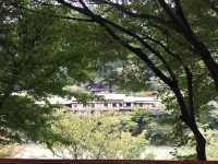 สวนป่าไผ่ &สะพานแม่น้ำสุขใจ @ARASHIYAMA