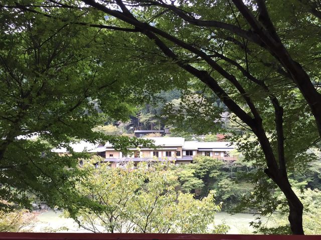 สวนป่าไผ่ &สะพานแม่น้ำสุขใจ @ARASHIYAMA