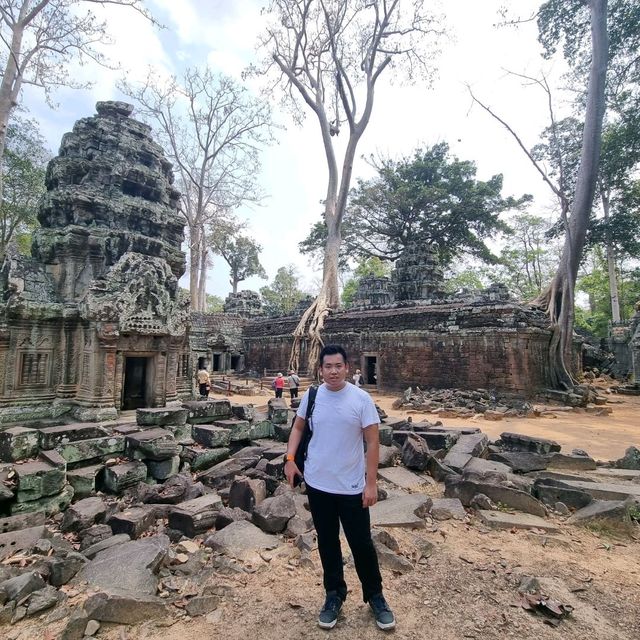 Ancient Temple - TaProhm Temple 