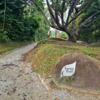 Hiking at Lornie Trail & Chemperai Trail