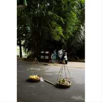เมืองสีเหลืองมัสตาร์ด เมืองเก่า ฮอยอัน