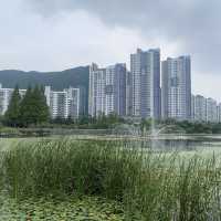 김해 대표 도심 공원인 연지공원