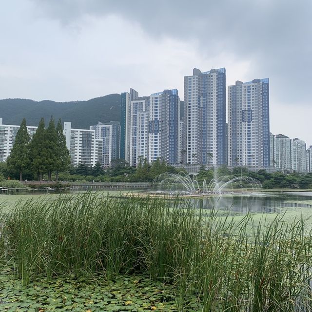 김해 대표 도심 공원인 연지공원