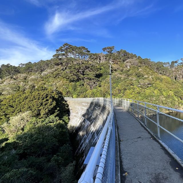 自然保護区ZEALANDIA