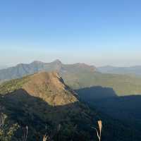 香港🇭🇰 ｜周末行山訪芒草海🌾 - 黃牛山⛰️