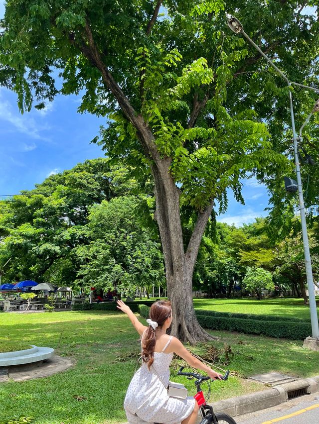 방콕에서 여유롭고 한적한 공원을 찾는다면 룸피니공원🌳