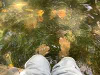น้ำพุร้อน at สันกำแพง