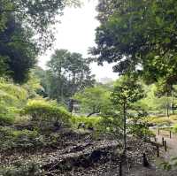 花與和諧的完美結合！舊古河庭園🌹🏰🌿