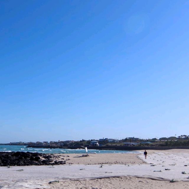 제주도는 파랗다