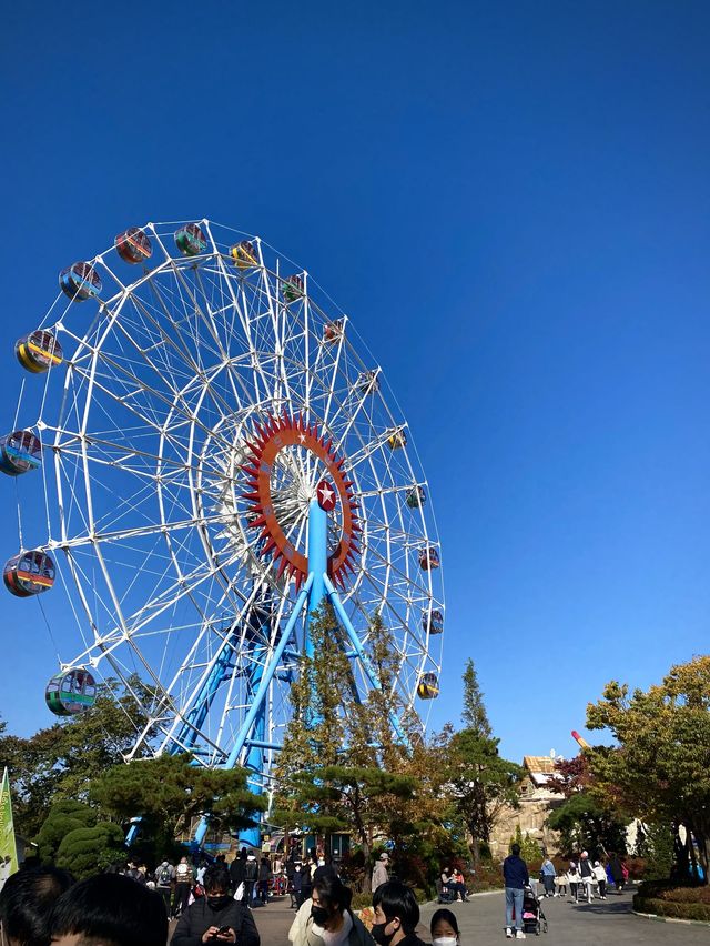 스릴있는 놀이기구가 많은 테마파크🎡 [경주월드]