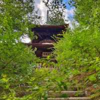 常寂光寺!!尋找內心寧靜的放鬆🌸🏯 