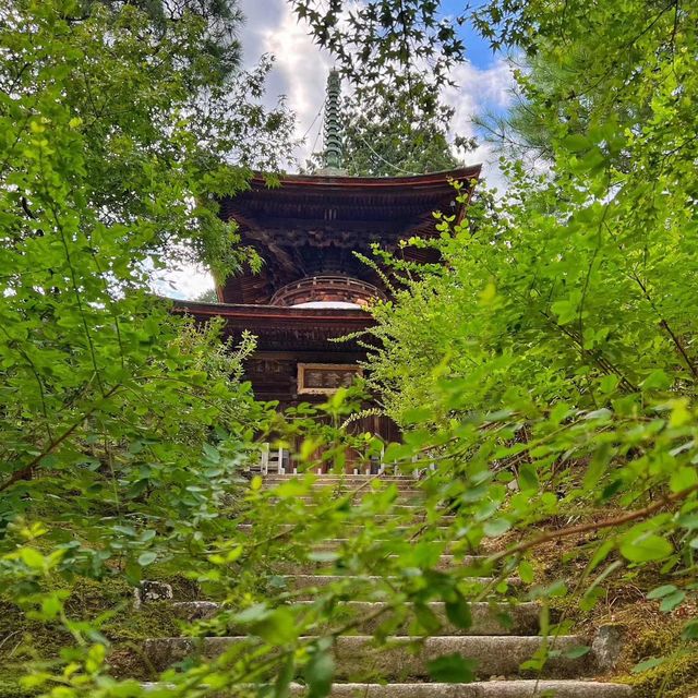 常寂光寺!!尋找內心寧靜的放鬆🌸🏯 