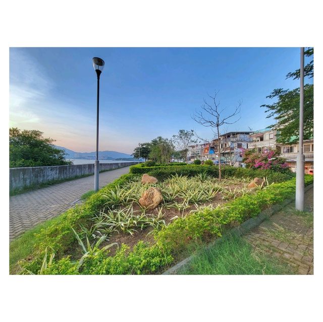 週末坪洲遊。南灣村