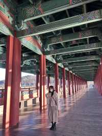 ［韓國］慶州月精橋🌉｜冬天去真的是美到爆炸！
