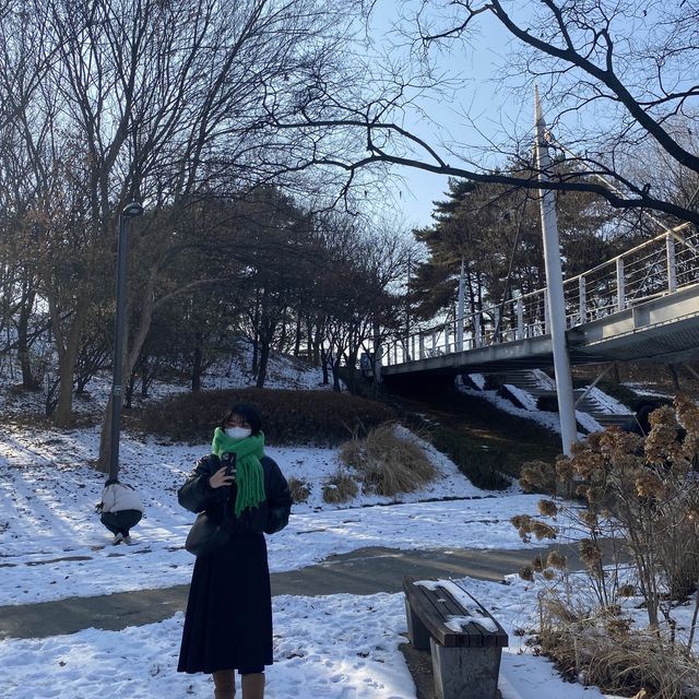 눈으로 예쁜 서울숲