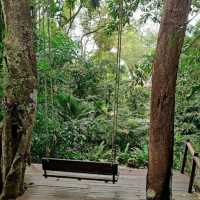 Tropical Spice Garden