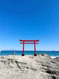 伊古奈比咩命神社から見る白浜海岸