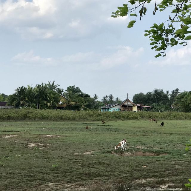 เกาะกลาง คลองประสงค์ กระบี่