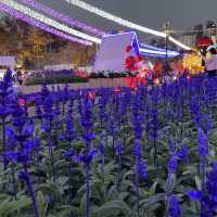 返嚟啦，返嚟啦，2023香港🌸🌹🌻花卉展覽