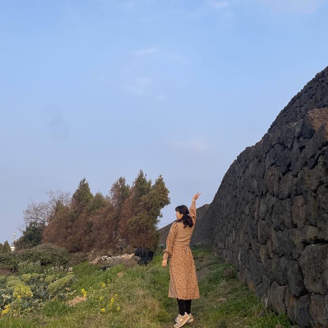 제주에서 유채꽃과 2박3일 