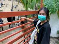 สวนนกภูเก็ต "Phuket Bird Park"