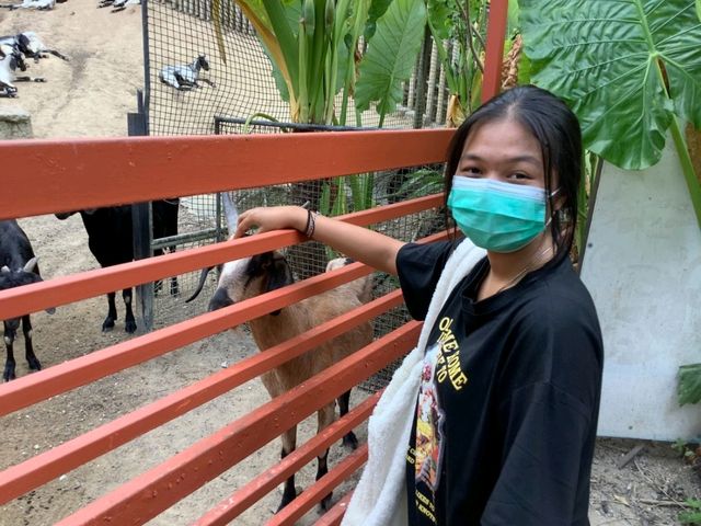 สวนนกภูเก็ต "Phuket Bird Park"