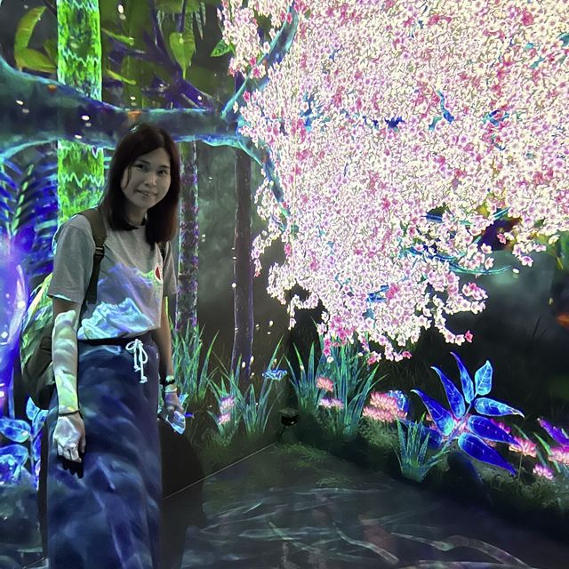 福岡 TeamLab 森林美術館 teamLab Forest Fukuoka - SBI SECURITIES Co., Ltd.