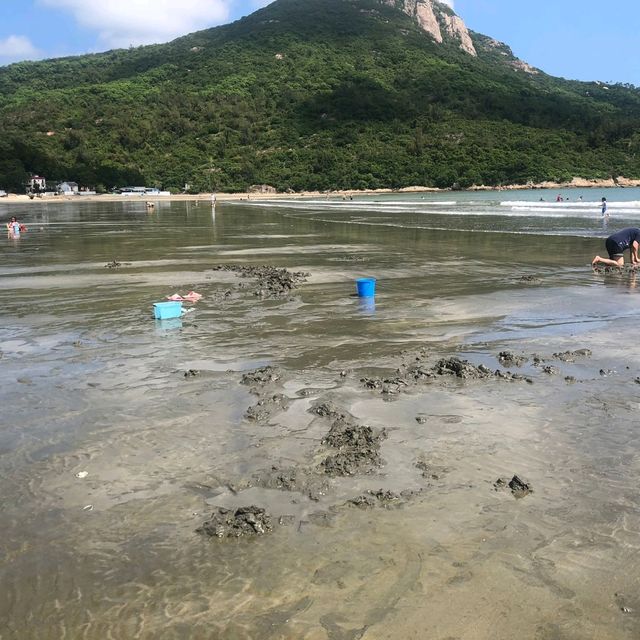 貝澳沙灘摸蜆遊