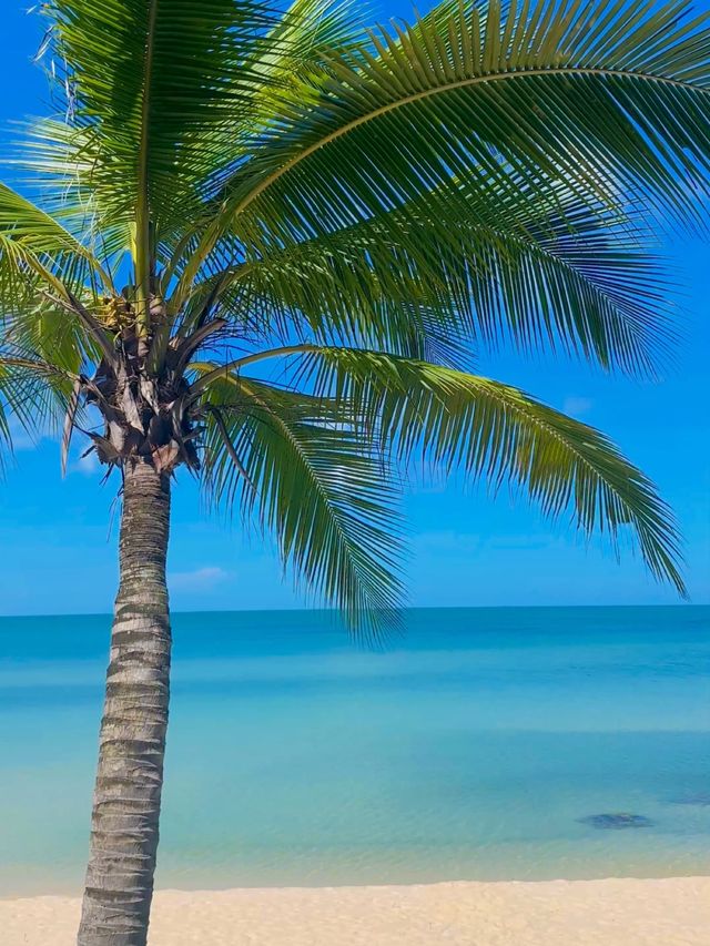 고요하고 아름다운 푸꾸옥 남부 켐 비치(Khem Beach)🏖️🌴 